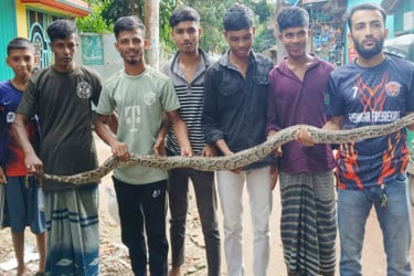 চট্টগ্রামে জালে আটকা পড়লো ৮ ফুট লম্বা অজগর