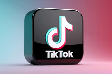 আত্মহত্যায় প্ররোচনা: ফ্রান্সে টিকটকের বিরুদ্ধে তদন্ত শুরু