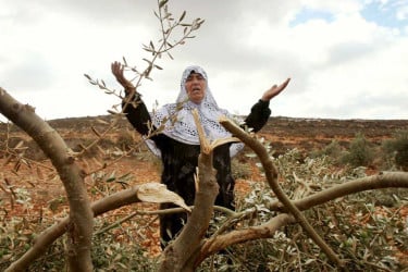 পশ্চিম তীরে এক মাসেই ২৩৫০টি ইসরায়েলি হামলা: রিপোর্ট