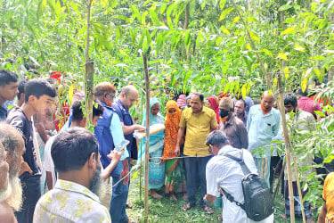 টাঙ্গাইলে জঙ্গল থেকে বৃদ্ধের মরদেহ উদ্ধার