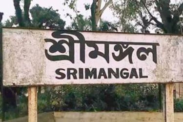 শ্রীমঙ্গলে শিয়ালের কামড়ে আহত ১৬