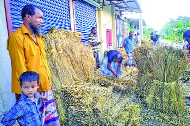 ধানের চেয়ে খড়ের কদর বেশি