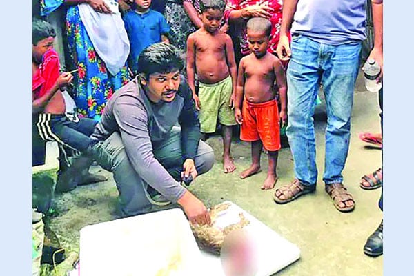 বিড়ালকে পেট কেটে হত্যা থানায় ডায়েরি