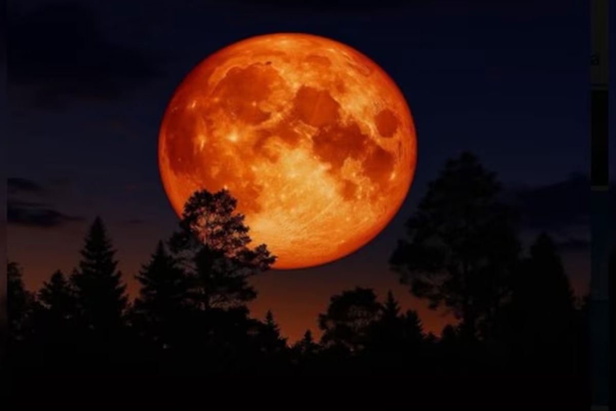 নভেম্বরে রাতের আকাশে দেখা যাবে মহাজাগতিক সৌন্দর্য