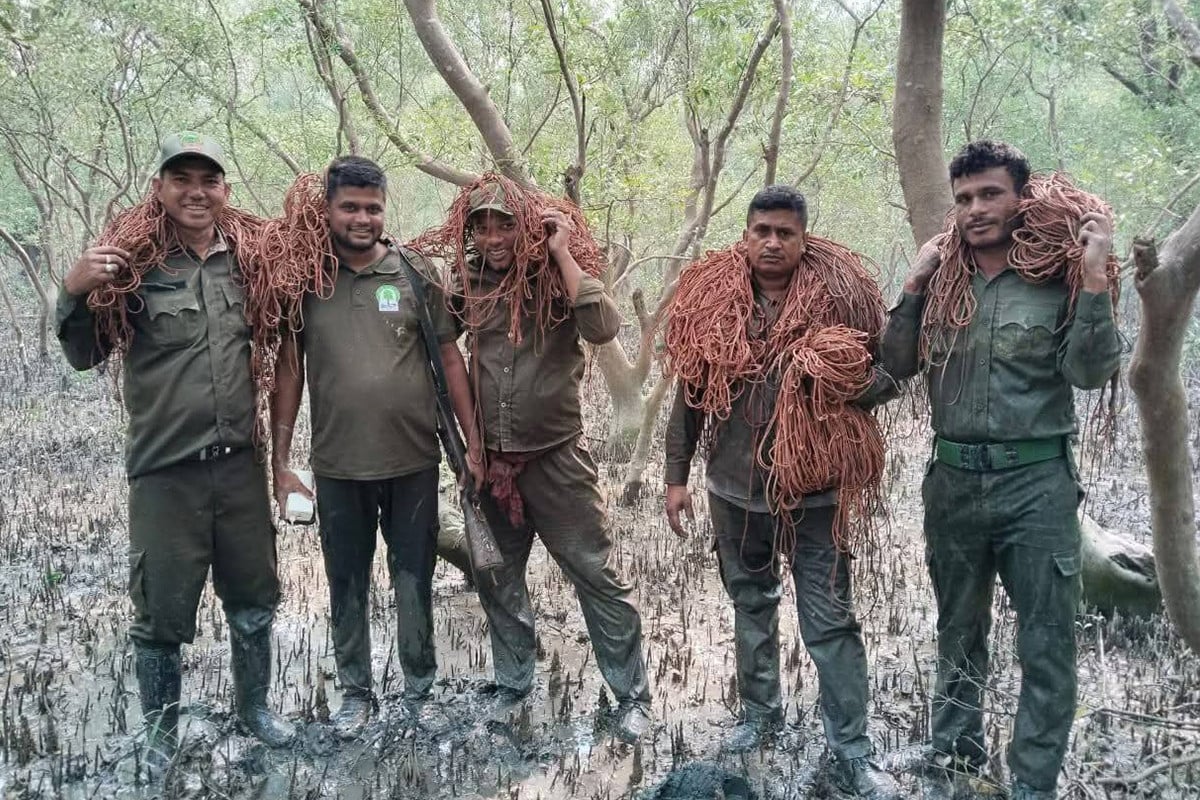 রাস উৎসবের আড়ালে সুন্দরবনে হরিণ শিকারের পরিকল্পনা, গ্রেফতার ৪২