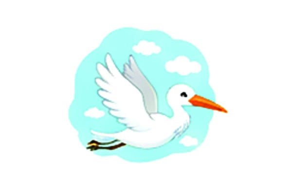 সাদা পাখি