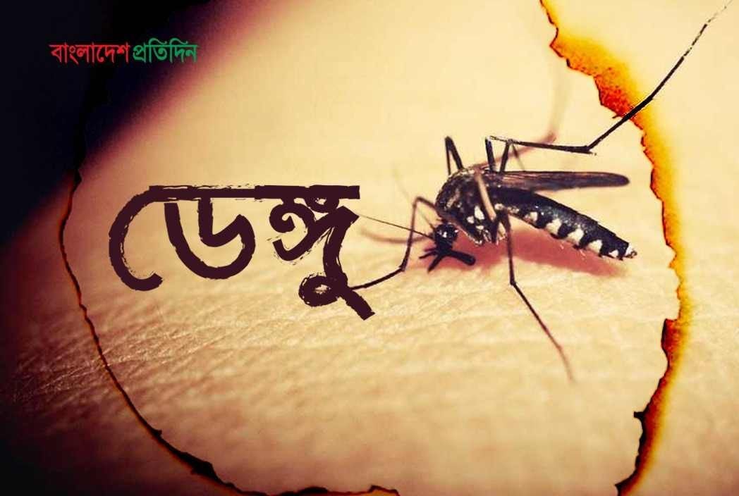 ডেঙ্গুতে আক্রান্ত হয়ে হাসপাতালে ভর্তি ৪৮৮ জন