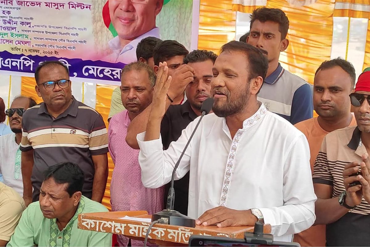 গাংনীতে জাতীয় বিপ্লব ও সংহতি দিবস পালিত