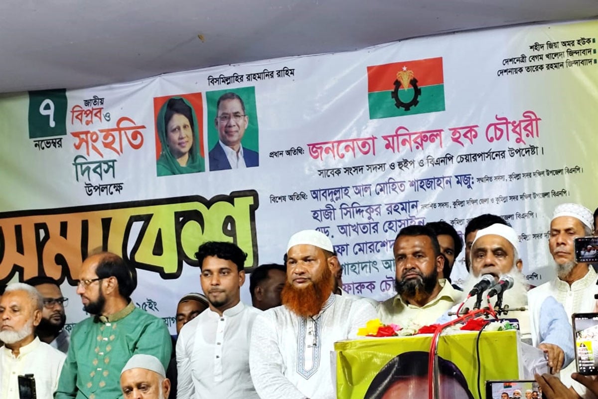 তারেক রহমানের হাতে দেশ কখনো পথ হারাবে না : মনিরুল হক