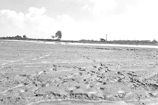 অনিশ্চিত ১৯ হাজার বিঘা জমি আবাদ