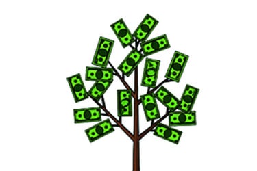 ধুত্তুরি