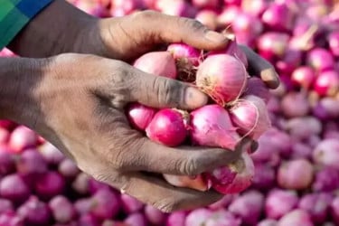 সবজির স্বস্তি পেঁয়াজে ম্লান