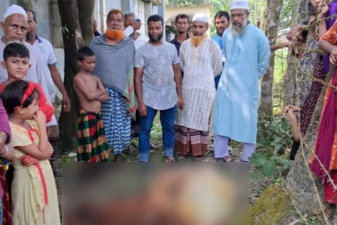 অন্তঃসত্ত্বা গরুও ছাড় পেল না, মাংস-মাথা নিয়ে গেল দুর্বৃত্তরা