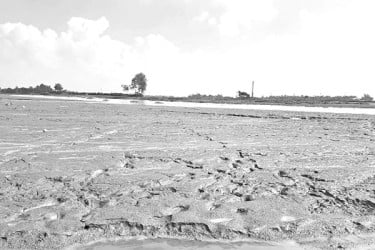 অনিশ্চিত ১৯ হাজার বিঘা জমি আবাদ