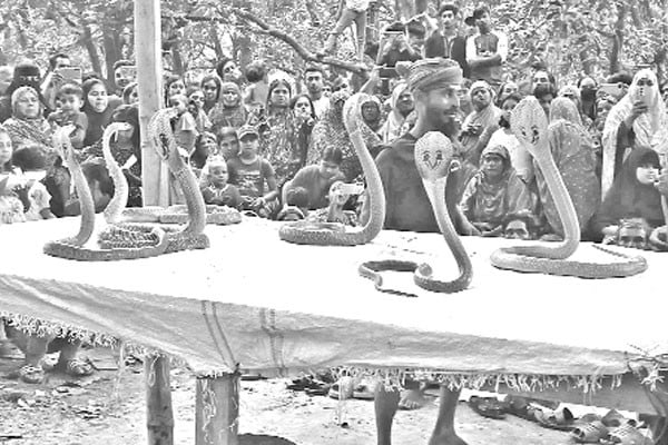 ঐতিহ্যবাহী ঝাঁপান খেলায় দর্শনার্থীর ঢল