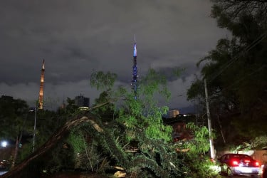 ব্রাজিলে টর্নেডোর আঘাতে নিহত অন্তত ৫, আহত ১৩০