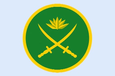 সেনাবাহিনীই শেষ ভরসা