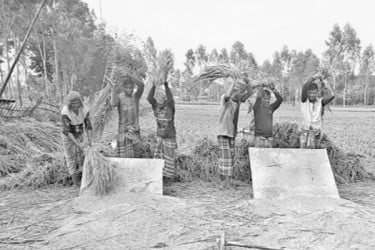 প্রযুক্তির ছোঁয়ায় কার্তিকের ‘মঙ্গা’ এখন অতীত