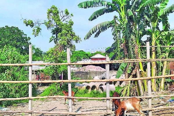 বেড়িবাঁধে সরকারি জমি বিক্রি, দুই নেতার সিন্ডিকেট