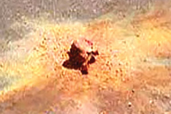 গাড়ির গ্যারেজ ও বিশ্ববিদ্যালয় বাসে আগুন, সন্দেহে নাশকতা