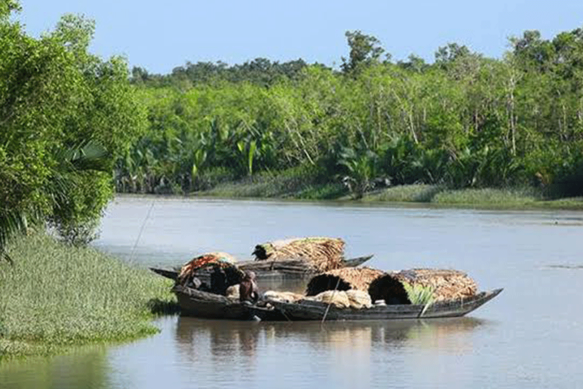 সুন্দরবনে বনদস্যু সুমন বাহিনীর হাতে জেলে অপহৃত