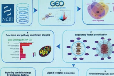 ডেঙ্গুর নতুন জিন শনাক্তে রাবি শিক্ষার্থীর সাফল্য
