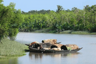 সুন্দরবনে বনদস্যু সুমন বাহিনীর হাতে জেলে অপহৃত