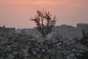 যুদ্ধবিরতি মানছে না ইসরায়েল, গাজায় ধ্বংসযজ্ঞ চলছে