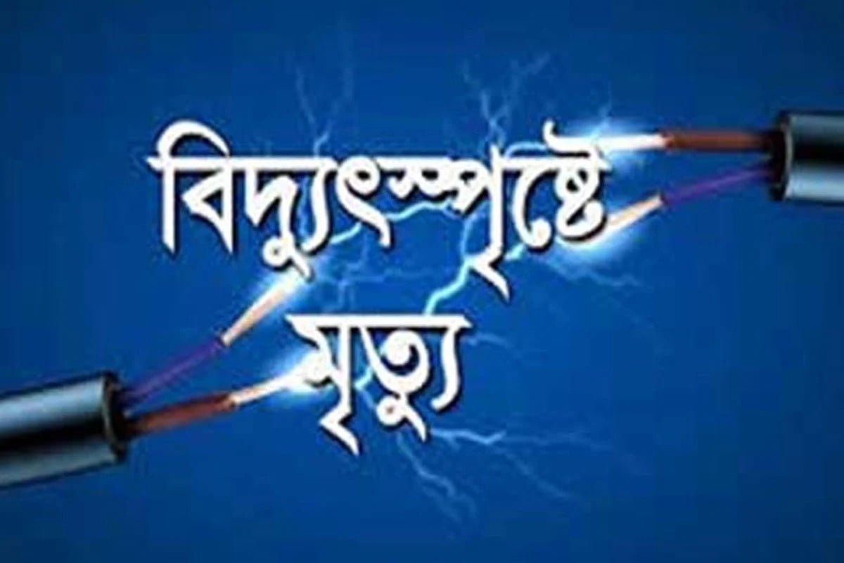 ধানক্ষেতে ইঁদুর নিধনের বৈদ্যুতিক ফাঁদে বিদ্যুৎস্পৃষ্ট হয়ে ২ ছাত্রের মৃত্যু