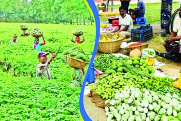 আশা জাগাচ্ছে কৃষি প্রক্রিয়াজাত খাবারের বাজার