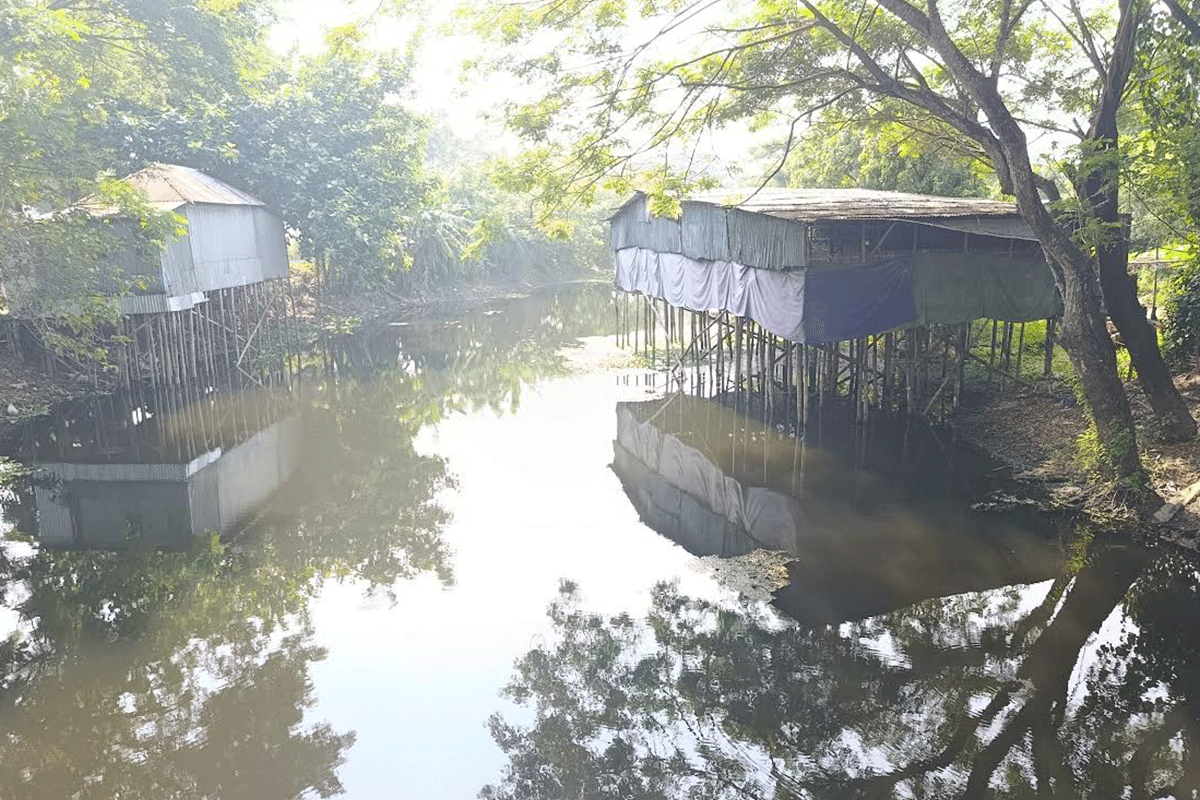 গোপালগঞ্জে সরকারি খাল দখল করে পোল্ট্রি ফার্ম, ভোগান্তিতে ২৫ হাজার মানুষ