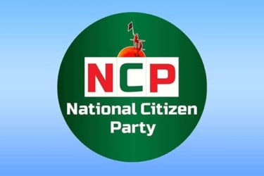 এনসিপিতে গৃহদাহ