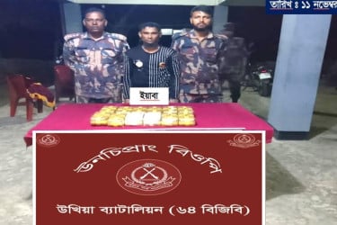 কক্সবাজারে ১ লাখ ৬০ হাজার ইয়াবাসহ দুই কারবারি আটক