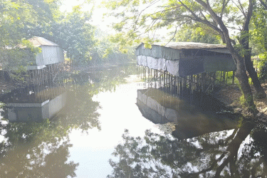 গোপালগঞ্জে সরকারি খাল দখল করে পোল্ট্রি ফার্ম, ভোগান্তিতে ২৫ হাজার মানুষ