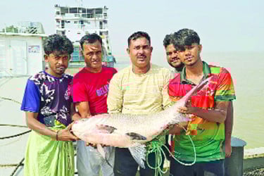 এক কাতলার দাম ৫৫ হাজার টাকা