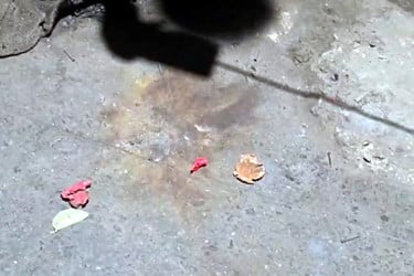 টিএসসিতে ফ্যাসিবাদের প্রামাণ্যচিত্র প্রদর্শনকালে ককটেল বিস্ফোরণ