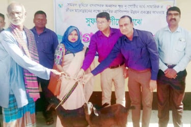 চিরিরবন্দরে ক্ষুদ্র নৃ-গোষ্ঠির ৭৭ পরিবারের মাঝে ছাগল বিতরণ