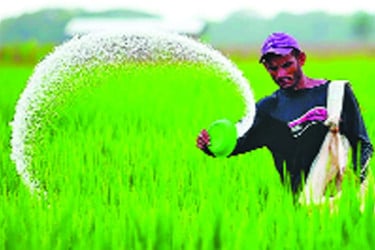 হুমকিতে কৃষিজমি পরিবেশ কৃষকস্বাস্থ্য