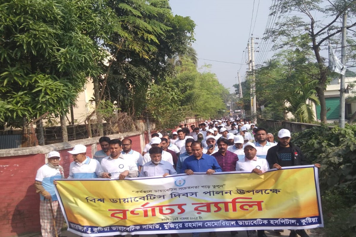 বিশ্ব ডায়াবেটিস দিবসে কুষ্টিয়ায় র‍্যালি ও আলোচনা সভা