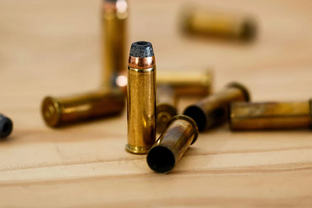 মালিককে গুলি করল পোষা কুকুর!