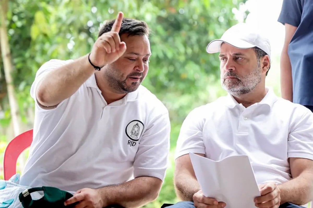 'আরও একটা ভোট, আরও একটা পরাজয়', রাহুলকে কটাক্ষ বিজেপির