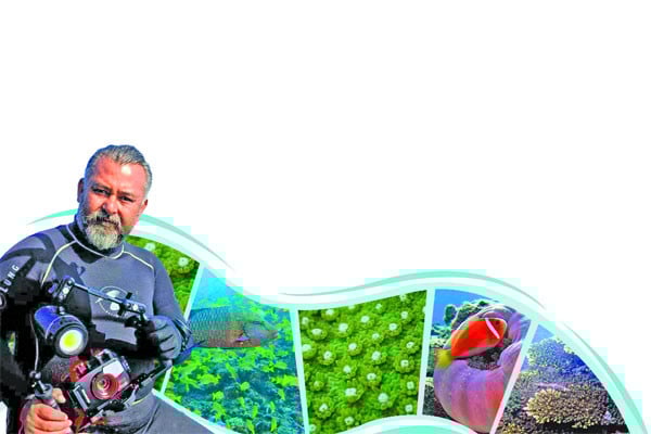 শরীফের ক্যামেরায় সাগরতলের অজানা জগৎ