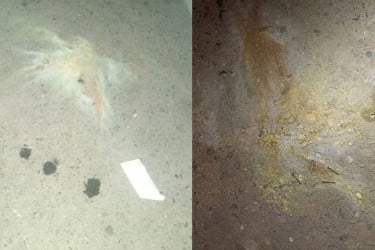 বিমানবন্দর এলাকার দুই জায়গায় ককটেল বিস্ফোরণ