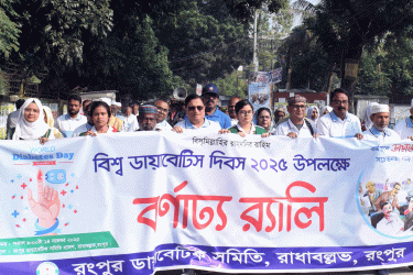 রংপুরে বিশ্ব ডায়াবেটিস দিবস পালিত