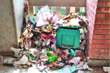 আদালতপাড়ায় উৎকট গন্ধে টেকা দায়