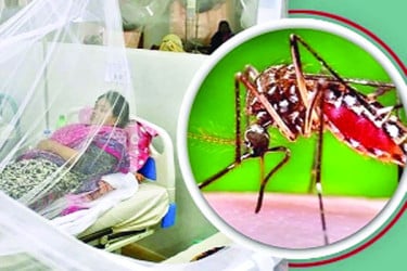 রামেকে ডেঙ্গু আক্রান্ত দুজনের মৃত্যু