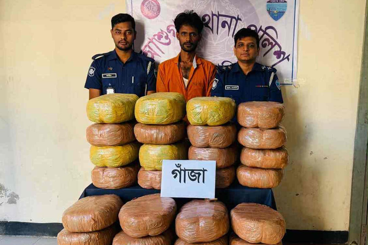 আশুগঞ্জে ১২০ কেজি গাঁজাসহ পাচারকারী গ্রেফতার, পিকআপ জব্দ