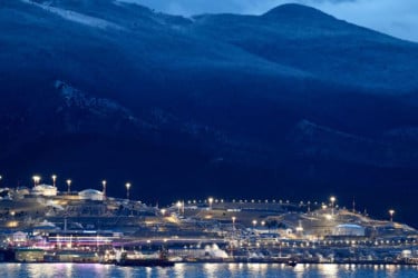 ইউক্রেনের হামলায় নভোরো-সিয়েস্ক বন্দরের তেল রফতানি বন্ধ করল রাশিয়া