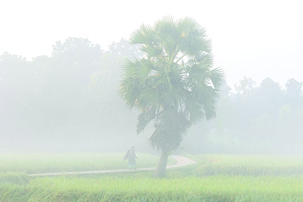 ভোরের কুয়াশা চাদর