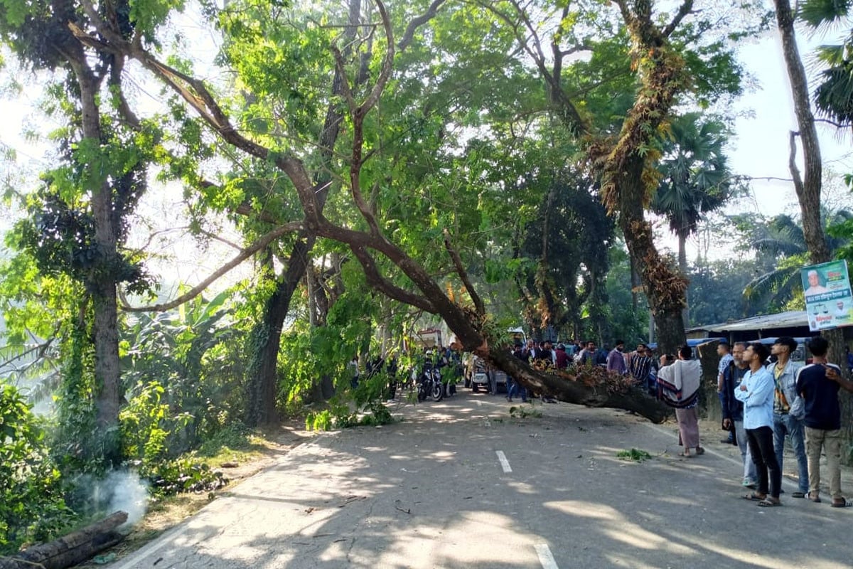 মাদারীপুরে গাছ ফেলে সড়ক অবরোধ